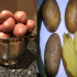 Jak moc a jak vařit brambory ve slupce, aby se nerozpadly